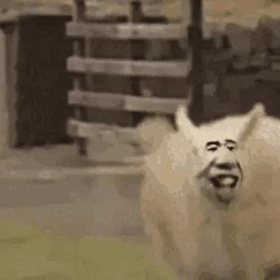 星巴克最骚气的套路,星巴克骚操作集锦