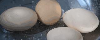 水煮鸡蛋正确做法与禁忌,水煮鸡蛋最好吃的方法是什么