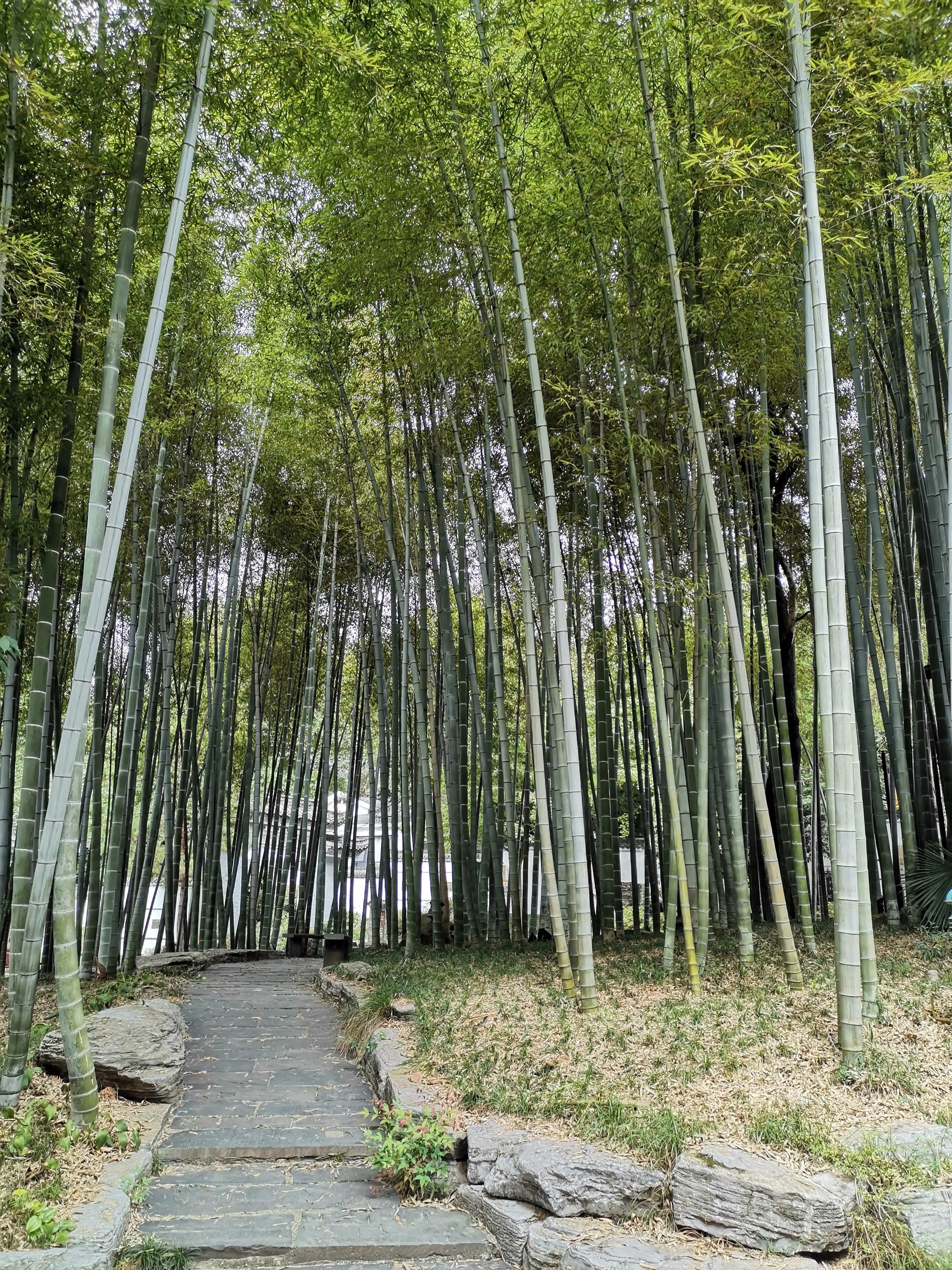 岁月洗礼时光，崭新流年记忆