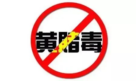 网警查域名流转情况,网警查境外域名