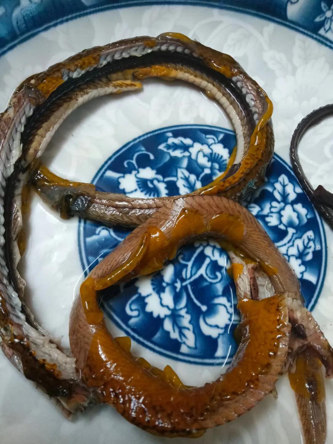 江西清炖野生黄鳝的做法,黄鳝最正宗的做法