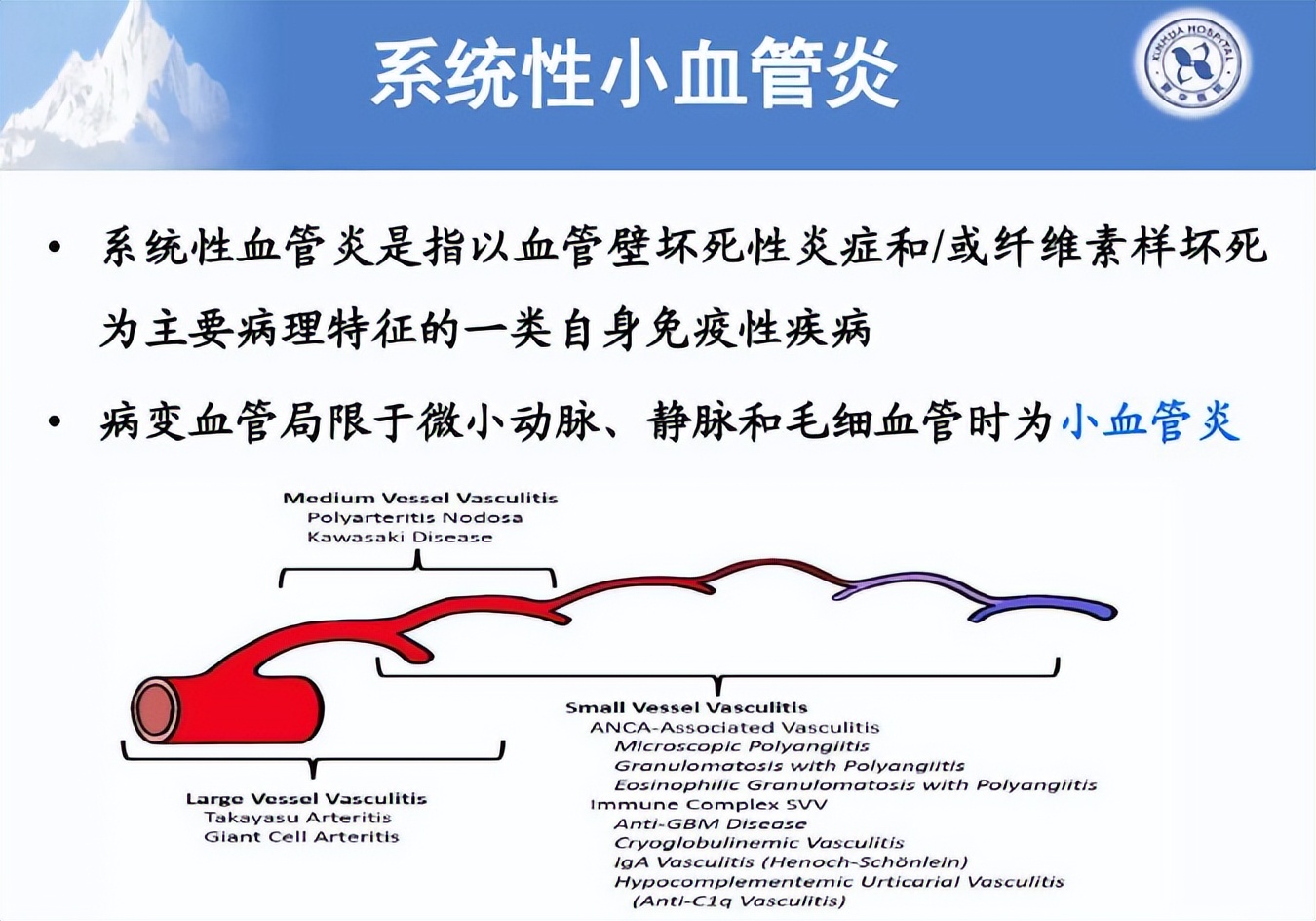 中医病因病机与中西医结合治疗系统性小血管炎肾损害