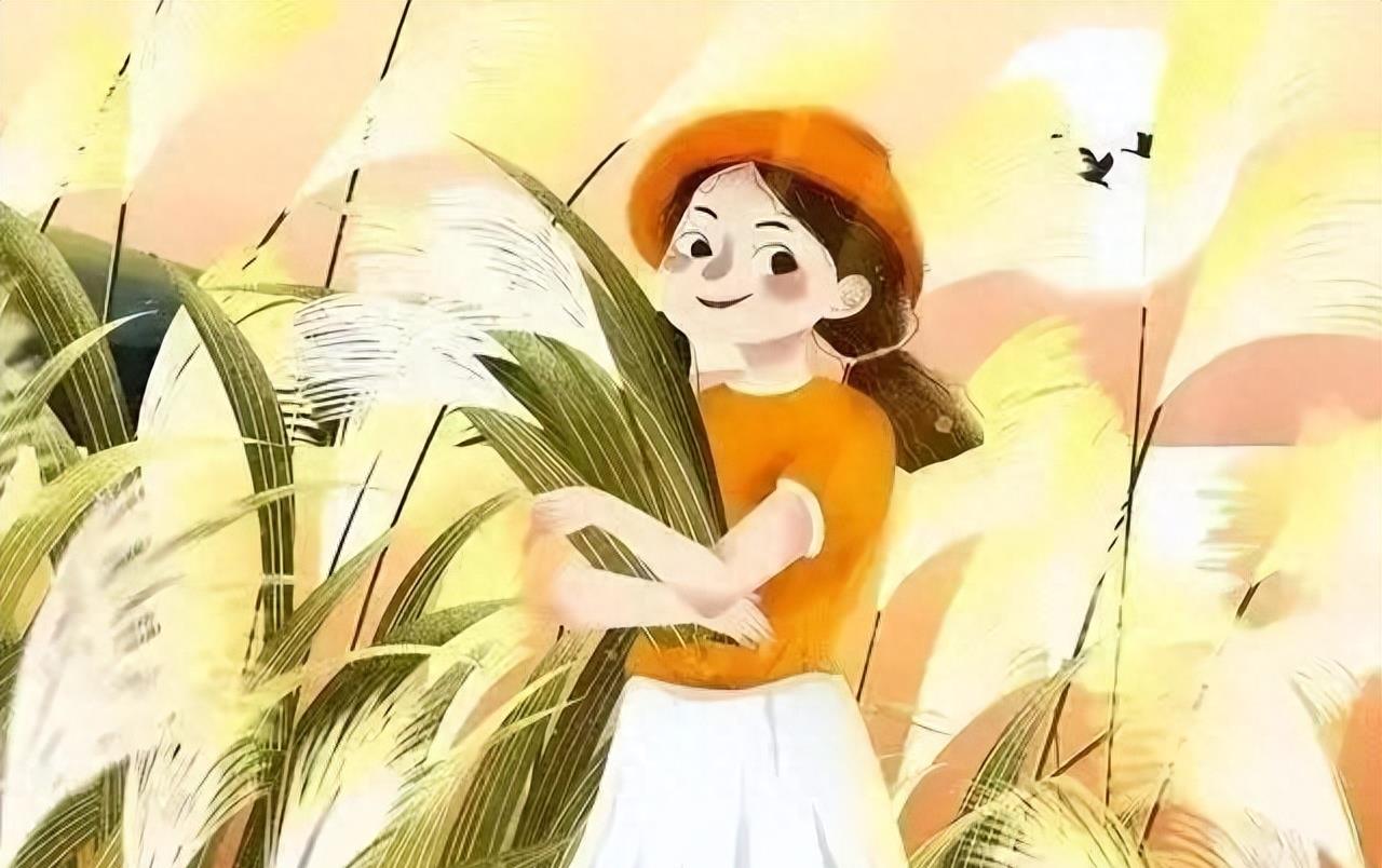 茶叶10斤,10斤以上茶叶