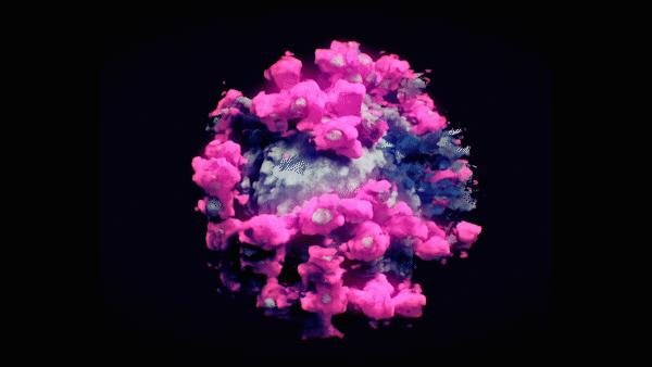 沙特最好的大学是哪个,沙特有哪些大学