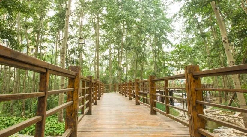 免疫系统紊乱中医还是西医好,中医能治疗风湿免疫系统的疾病吗