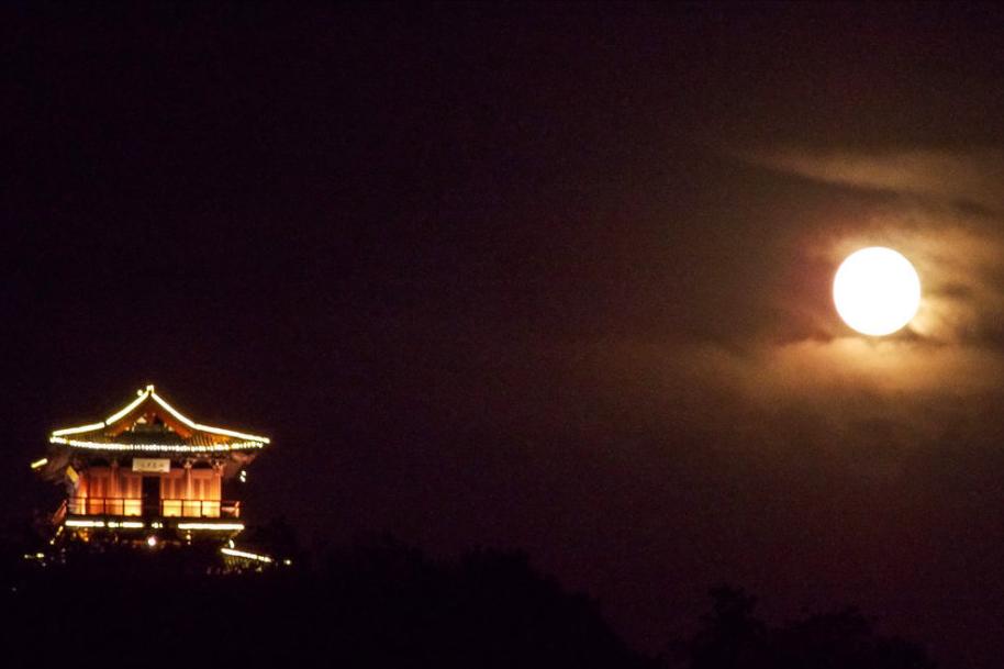 中秋共赏圆月的诗句,古今中外中秋咏月的古诗词有哪些