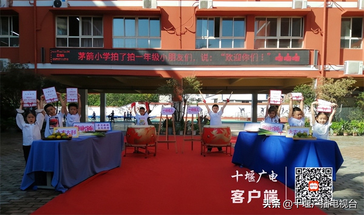 你好萌新是什么意思,你好萌新