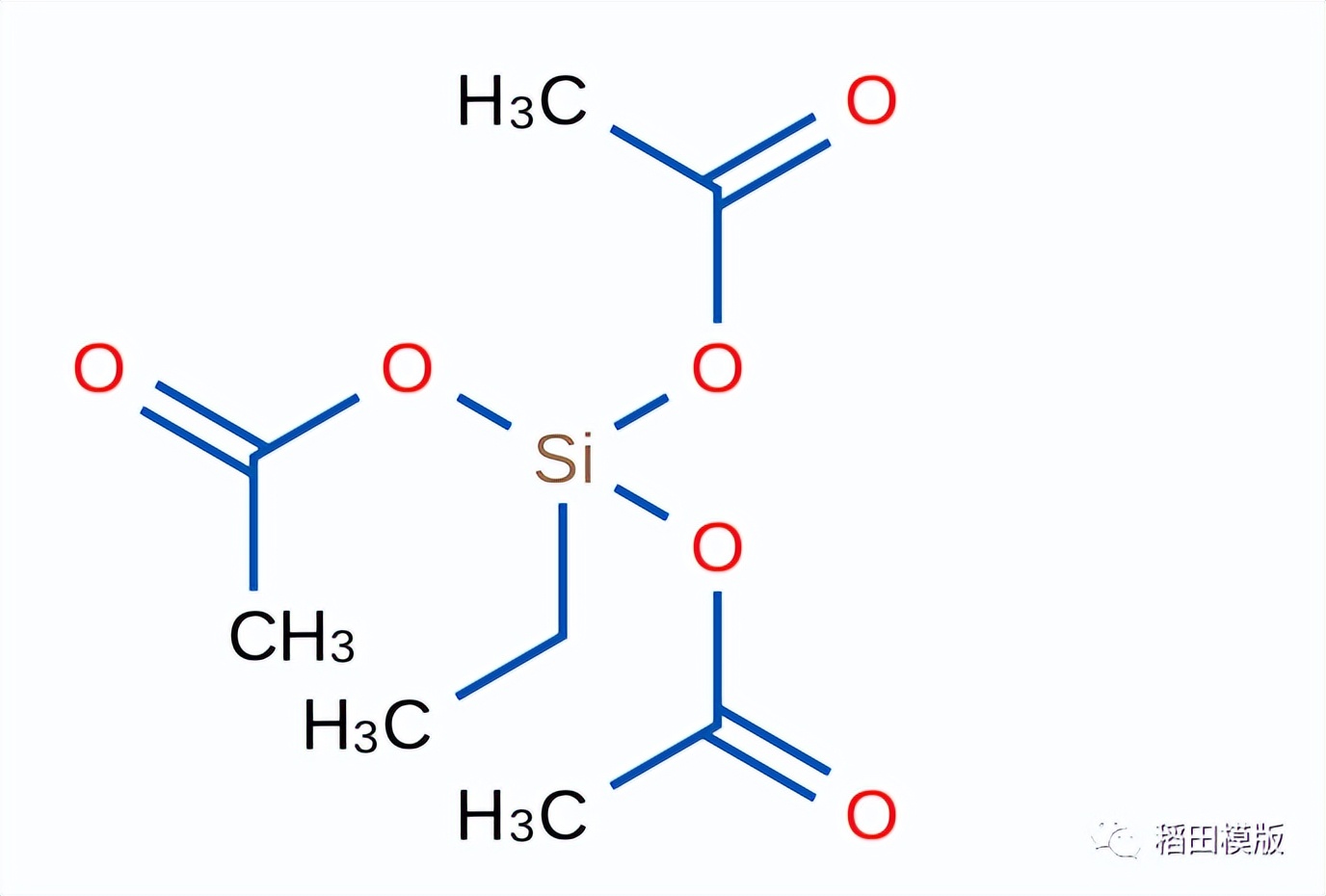 怎么分辨真面膜和假面膜,你敷的面膜是什么