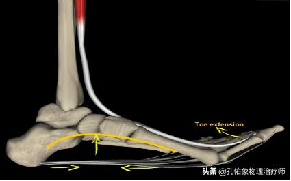 中老年人脚底痛是什么原因,老人脚底板好疼是什么原因