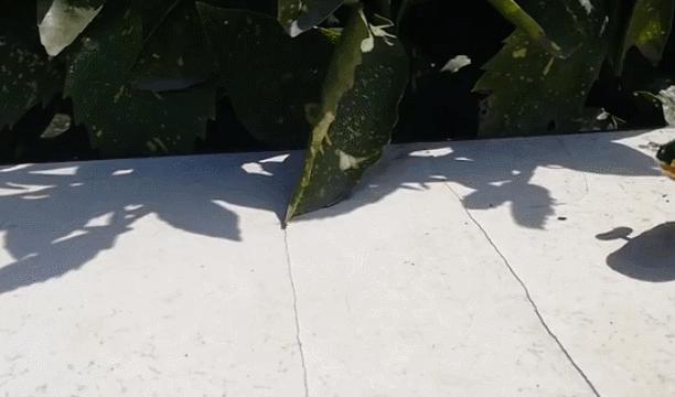 70后童年吃过的零食,8090后小时候吃过的东西