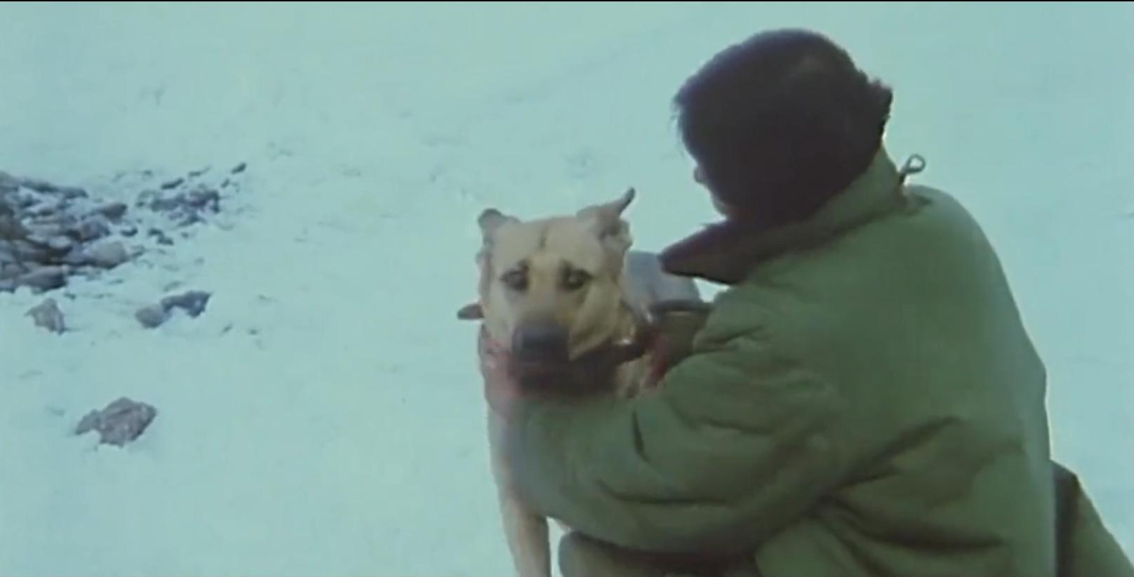 一部让人绝望的短片,一部让人绝望的电影