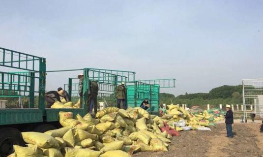 76岁农村大爷养鸡赚钱,小伙子在农村养鸡致富