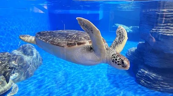 阜阳攻略夏天景点推荐,阜阳夏天游玩攻略路线