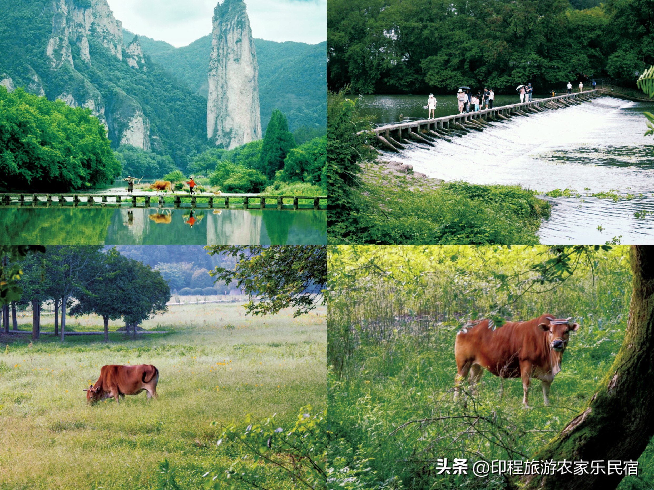 缙云仙都包吃住农家乐5日游,缙云仙都风景区农家乐价格