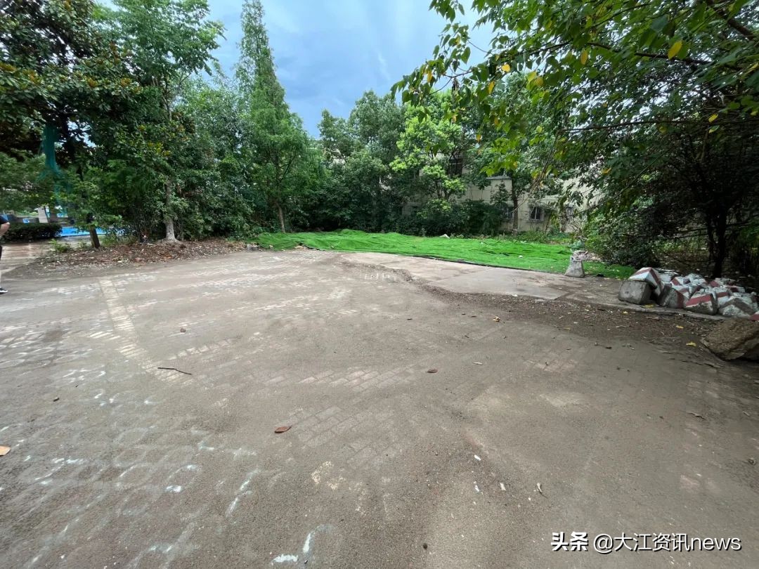 换了物业后这个小区焕然一新,换了物业的小区后来怎么样了