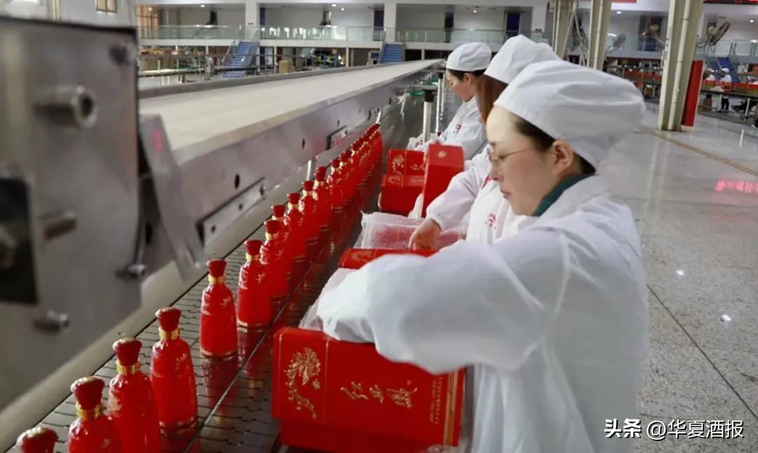 西凤酒破百亿,西凤酒百亿