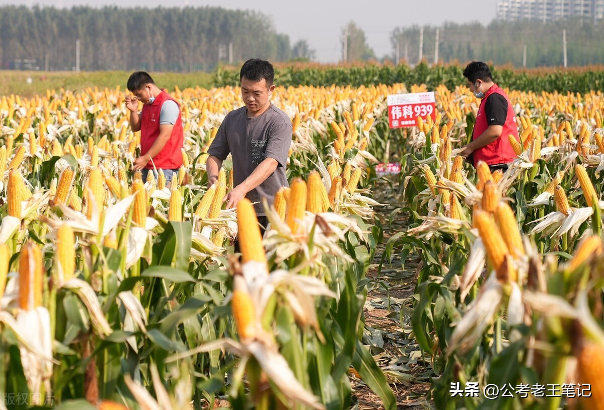 乡镇的公务员转正后一般加多少钱,乡镇聘用人员有编制吗
