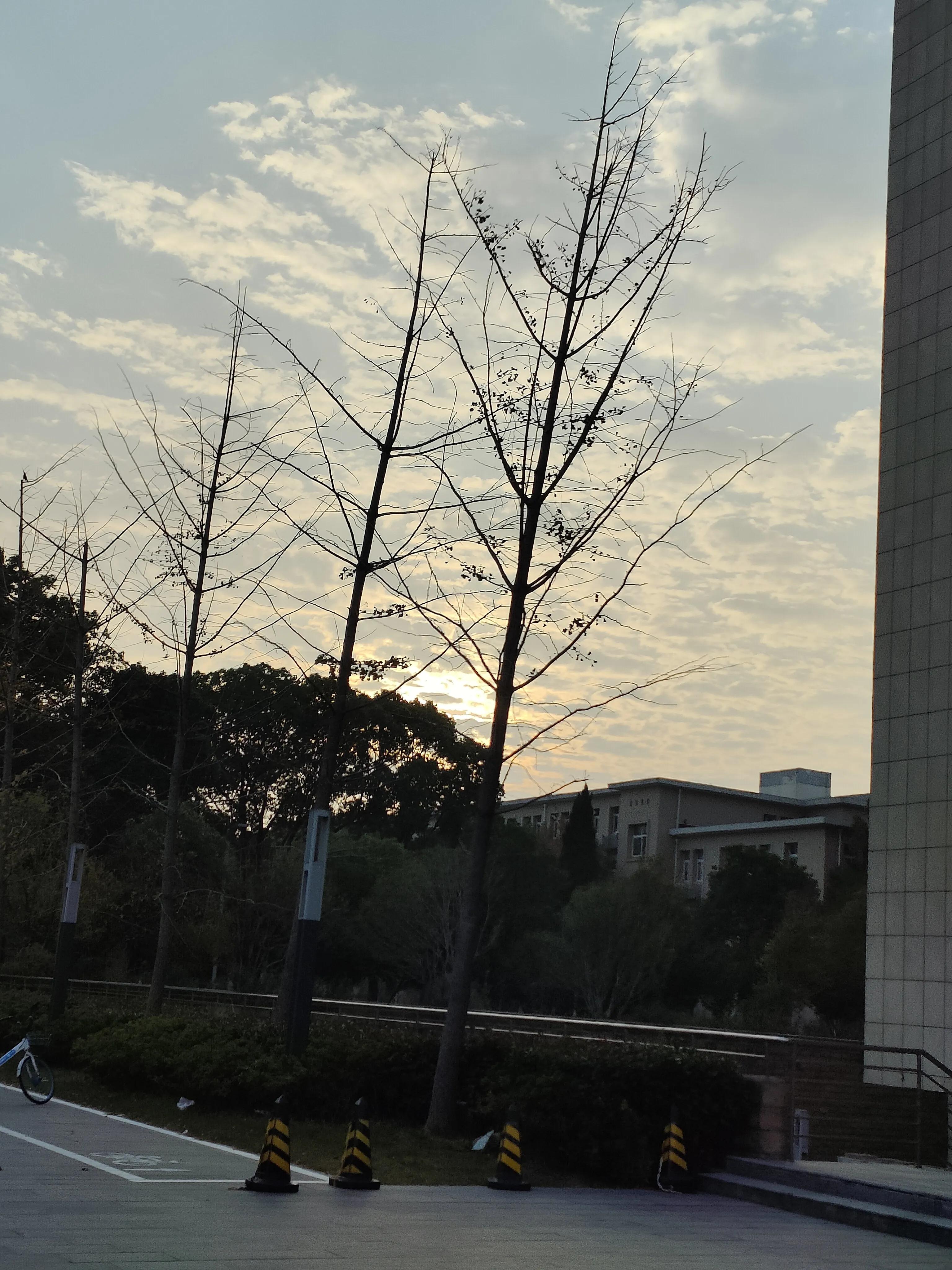 南京理工大学怎么看文献,南京理工大学专业怎么样