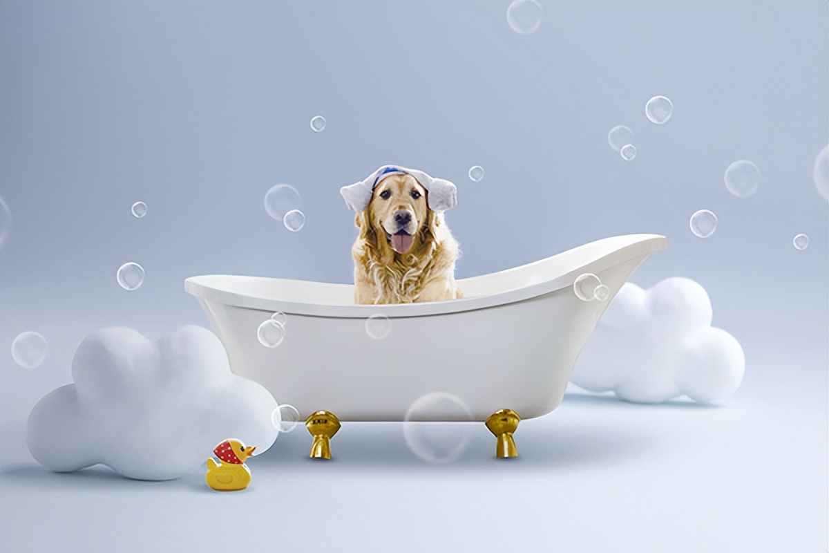 家里床上有跳蚤螨虫怎么快速去除,家里的跳蚤怎么彻底消灭