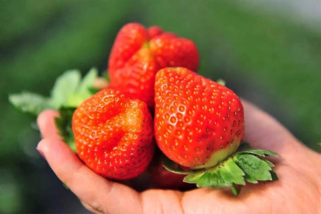 水果榨汁后变酸，你知道原因吗？水果这样吃味道更好