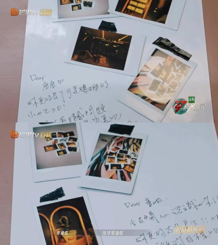 姐姐们的情史,姐姐们的故事