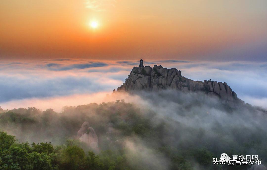 日照公交最新通知,免费乘坐公交车日照