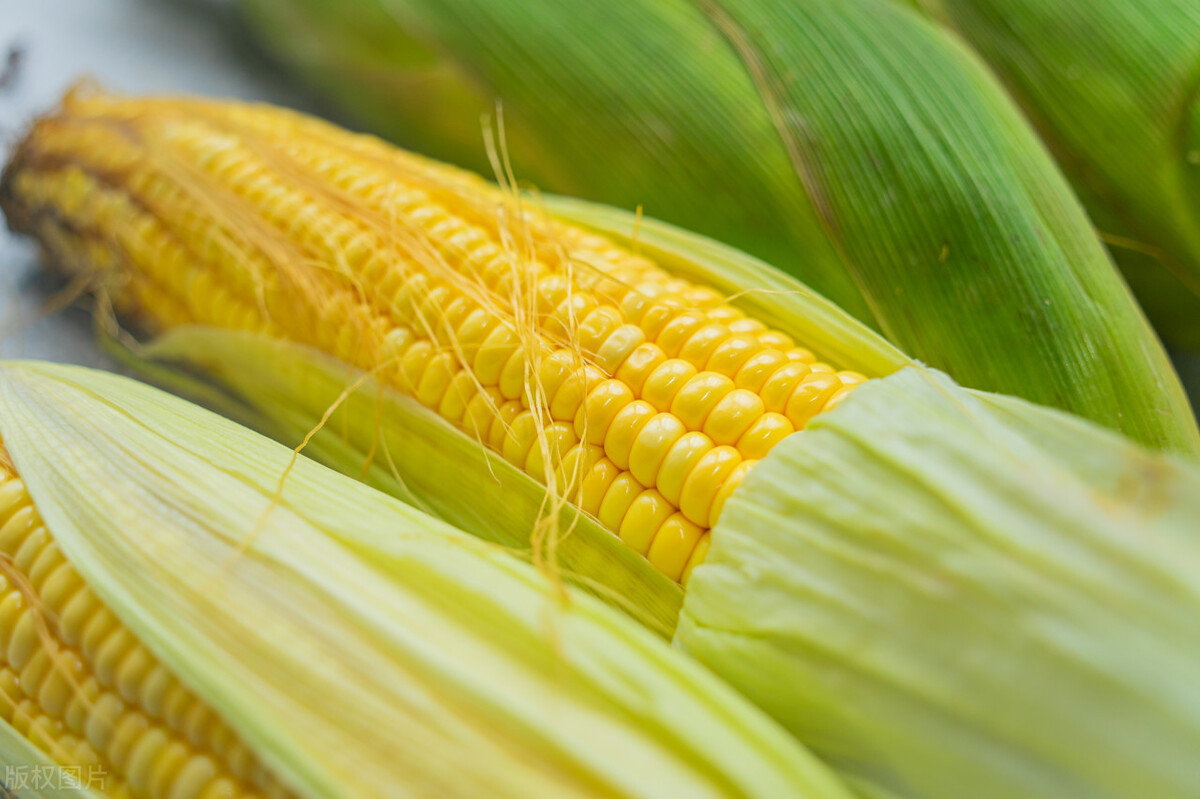 儿童调理脾胃肠道食疗,一岁调理脾胃多吃十种食物