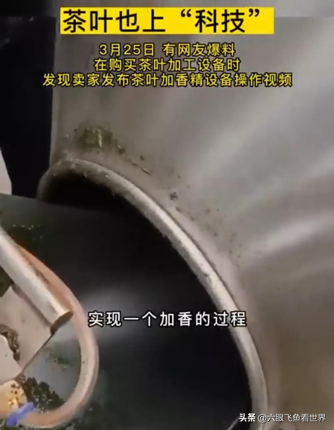 茶叶也有科技吗,茶树茶叶全是虫洞喷什么药