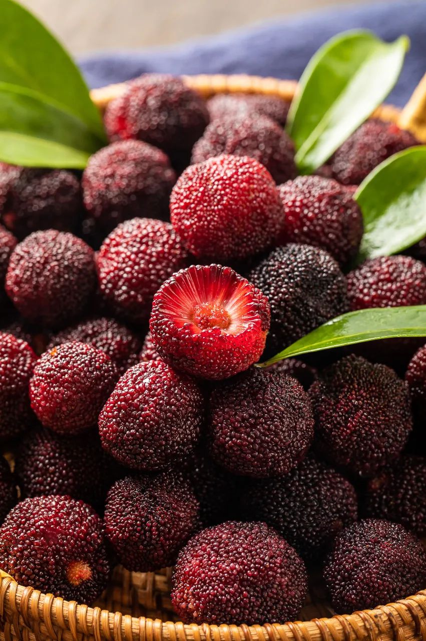 90后辞职回村种植中药材,90后夫妻放弃城市工作回乡当果农