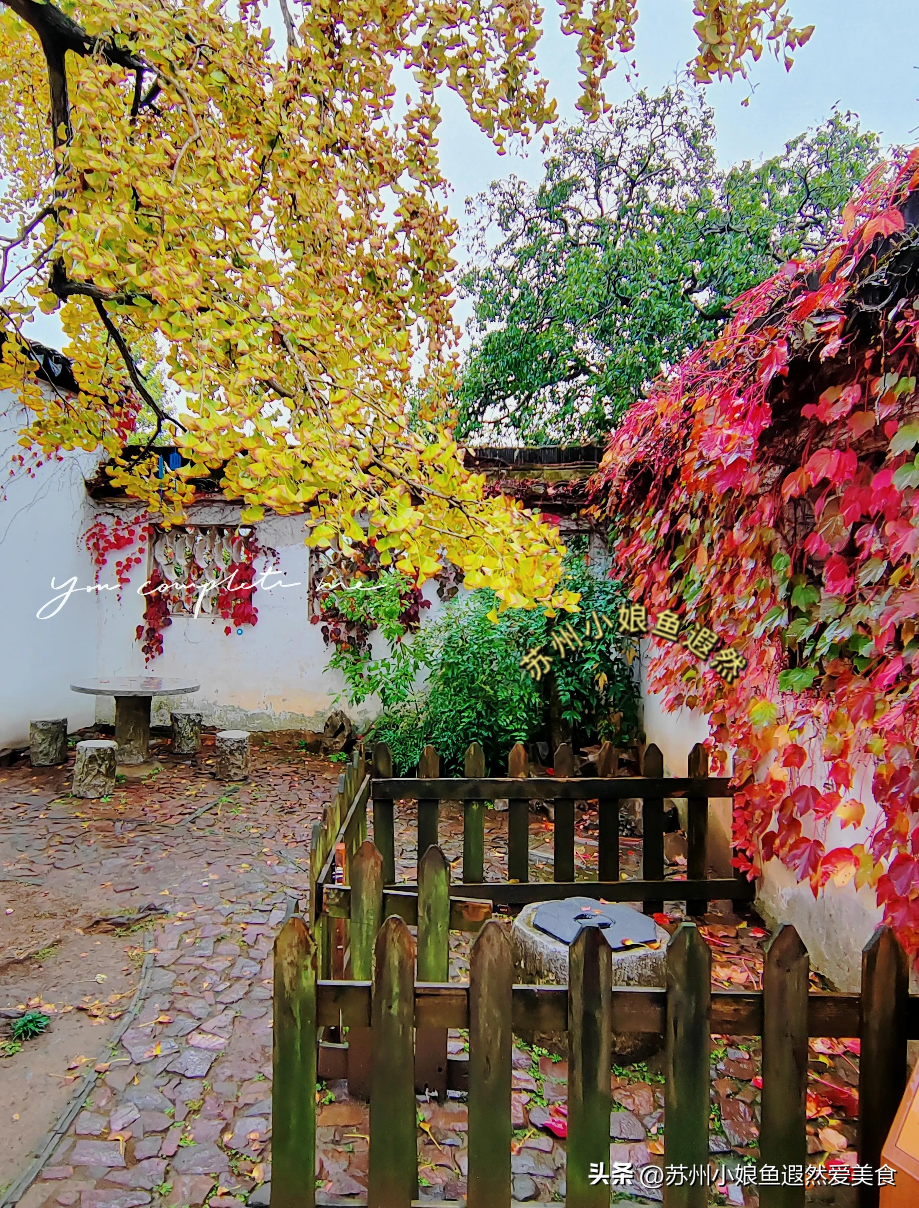苏州一日游攻略探索更好玩的景点,苏州一日游景区推荐