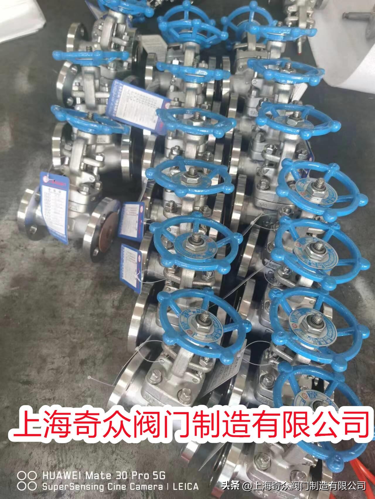 双相不锈钢止回阀报价,法兰双瓣式止回阀