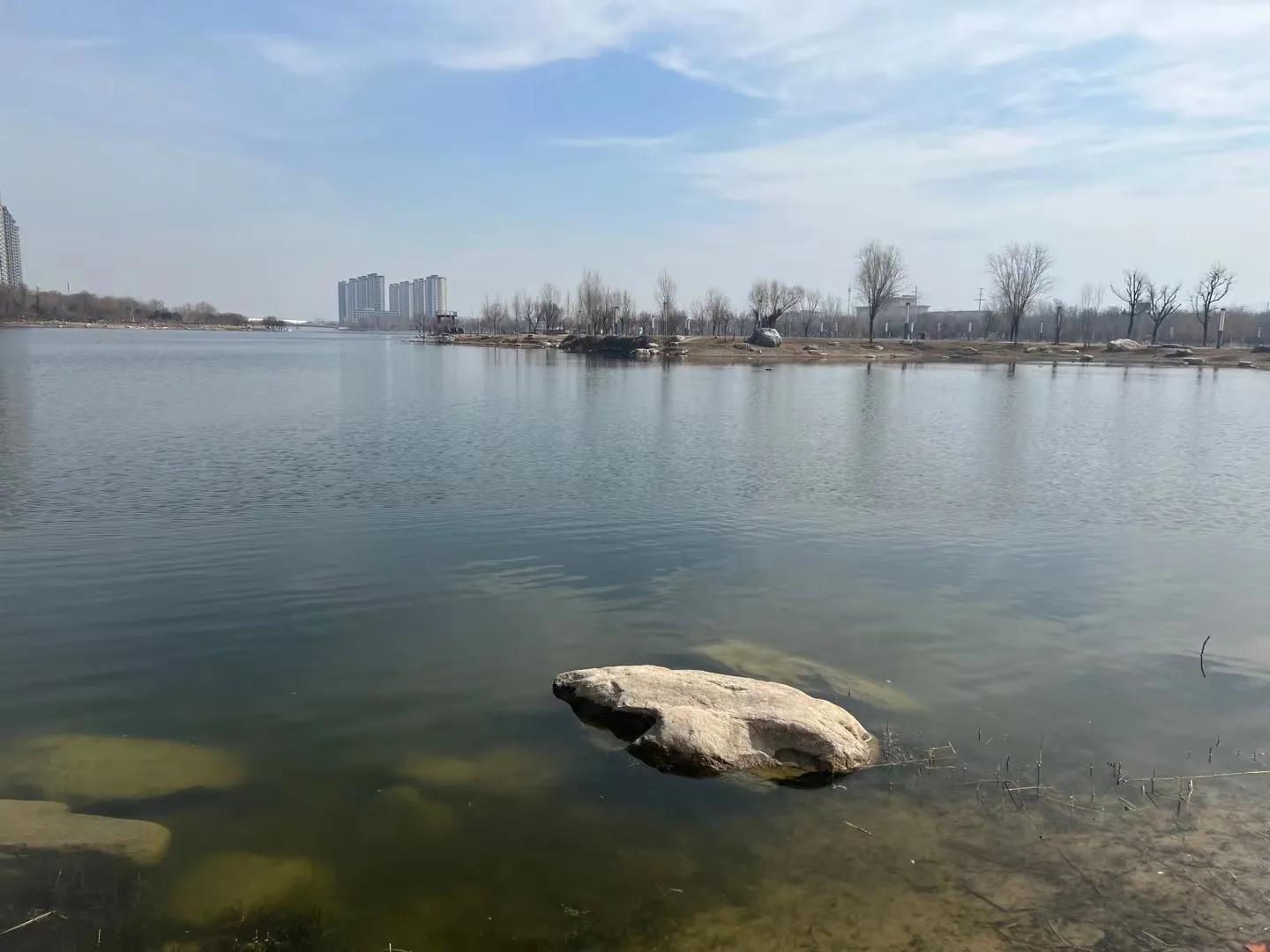 听懂话外音真正理解孩子的心,如何听懂孩子的语言