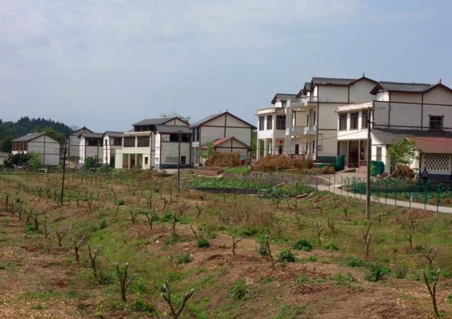 新农合涨价还能继续交吗,新农合涨价六类人不用交