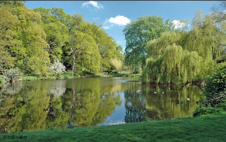 2023年体育单招最新消息,2024年体育单招各院校等级要求