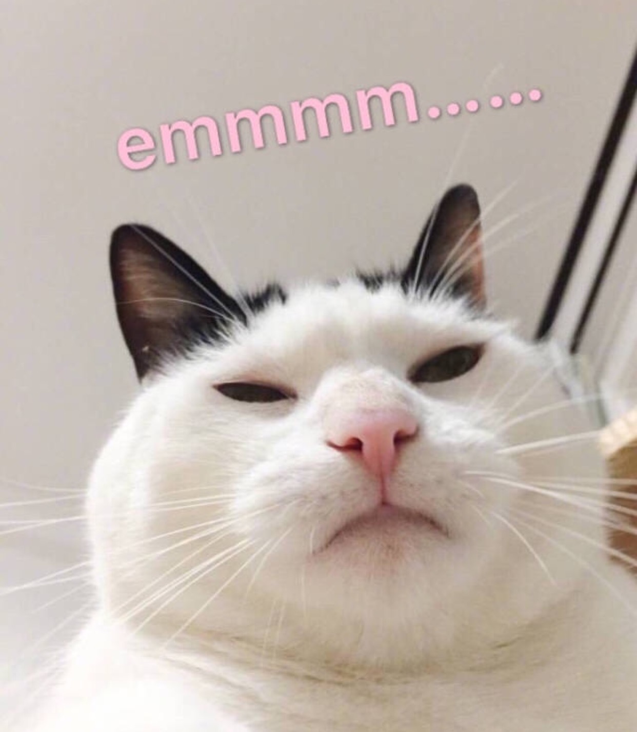 8848新手机价格,8848土豪手机多少钱一部