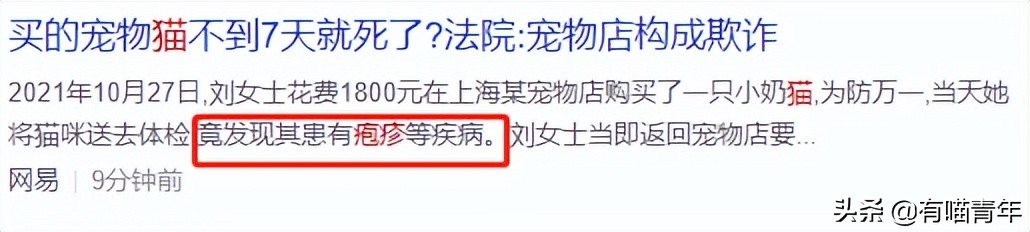 流泪猫猫头原图,最近猫猫头为什么这么火