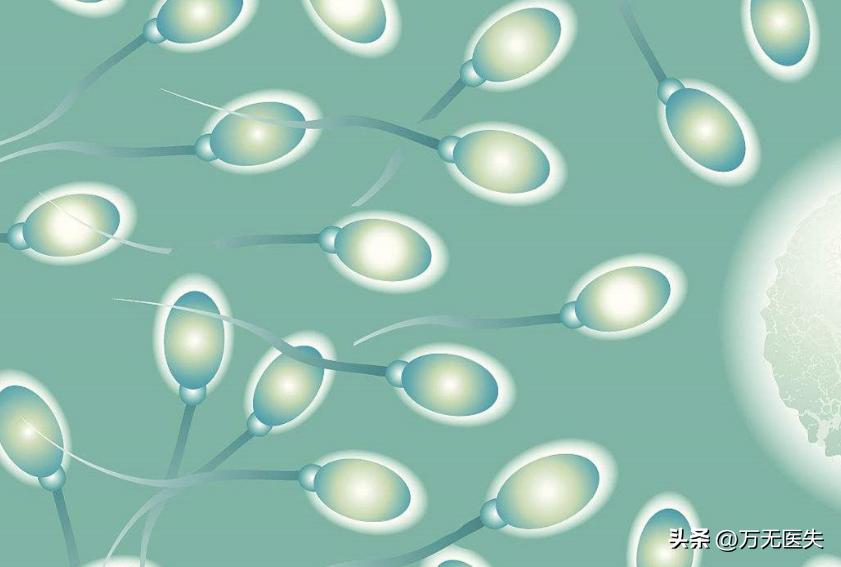 那些进入女性体内，没有成功“受精”的精子，最后都怎样了？