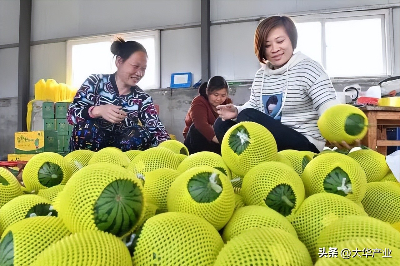 干货现代农业产业园应该如何打造,现代农业产业园建设规划方案