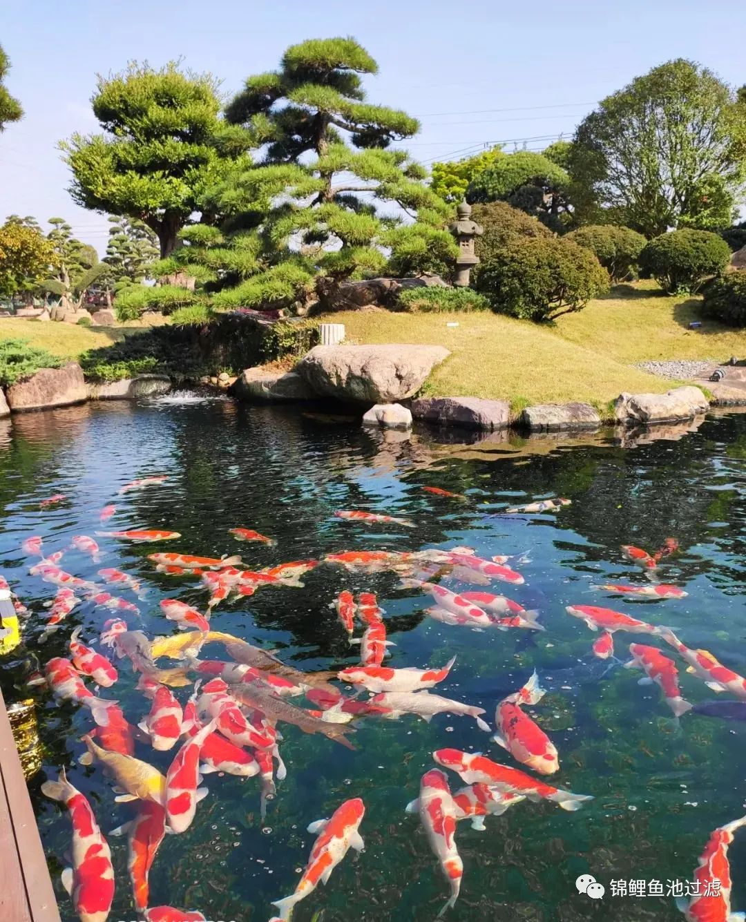 水色宜居的利弊,水色和水质是什么意思