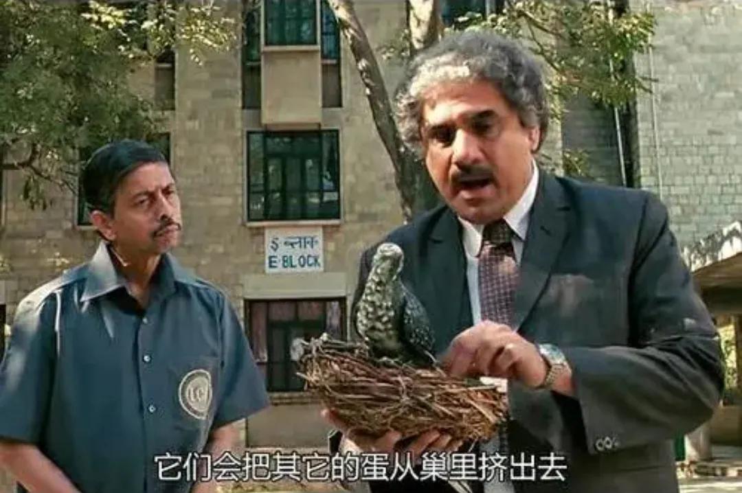 盘点几部经典搞笑电影,5部经典搞笑电影推荐