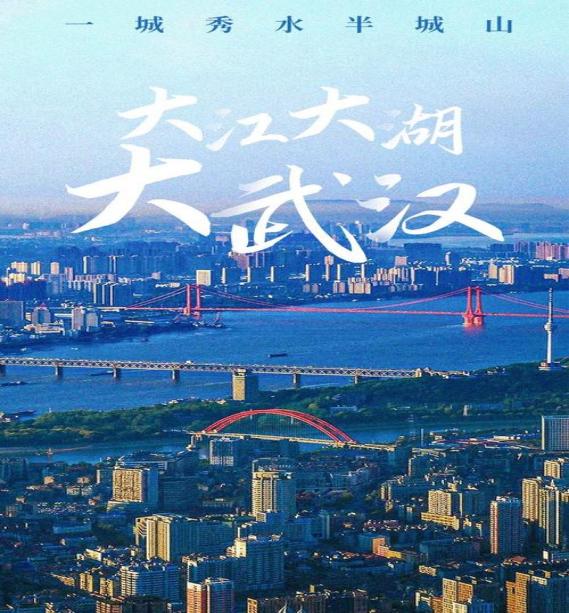 大上海大武汉谁最大,大武汉大上海哪个强