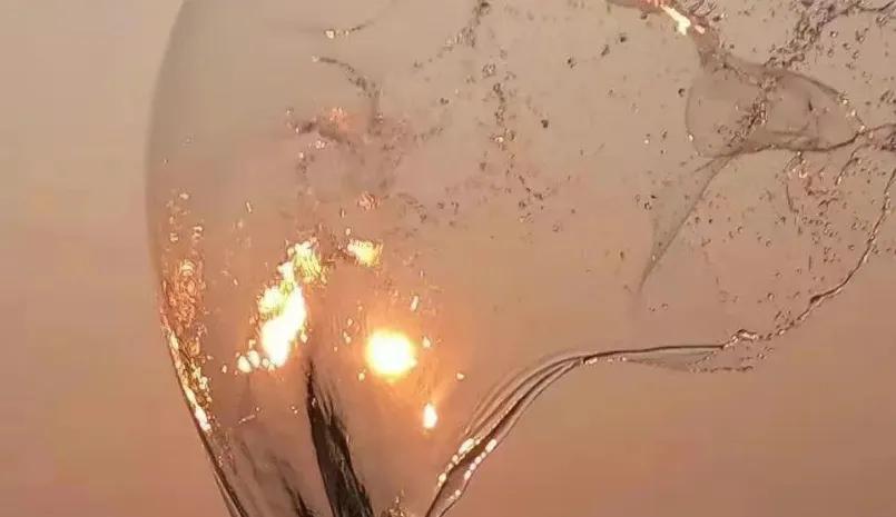 时评语录,时评和解析