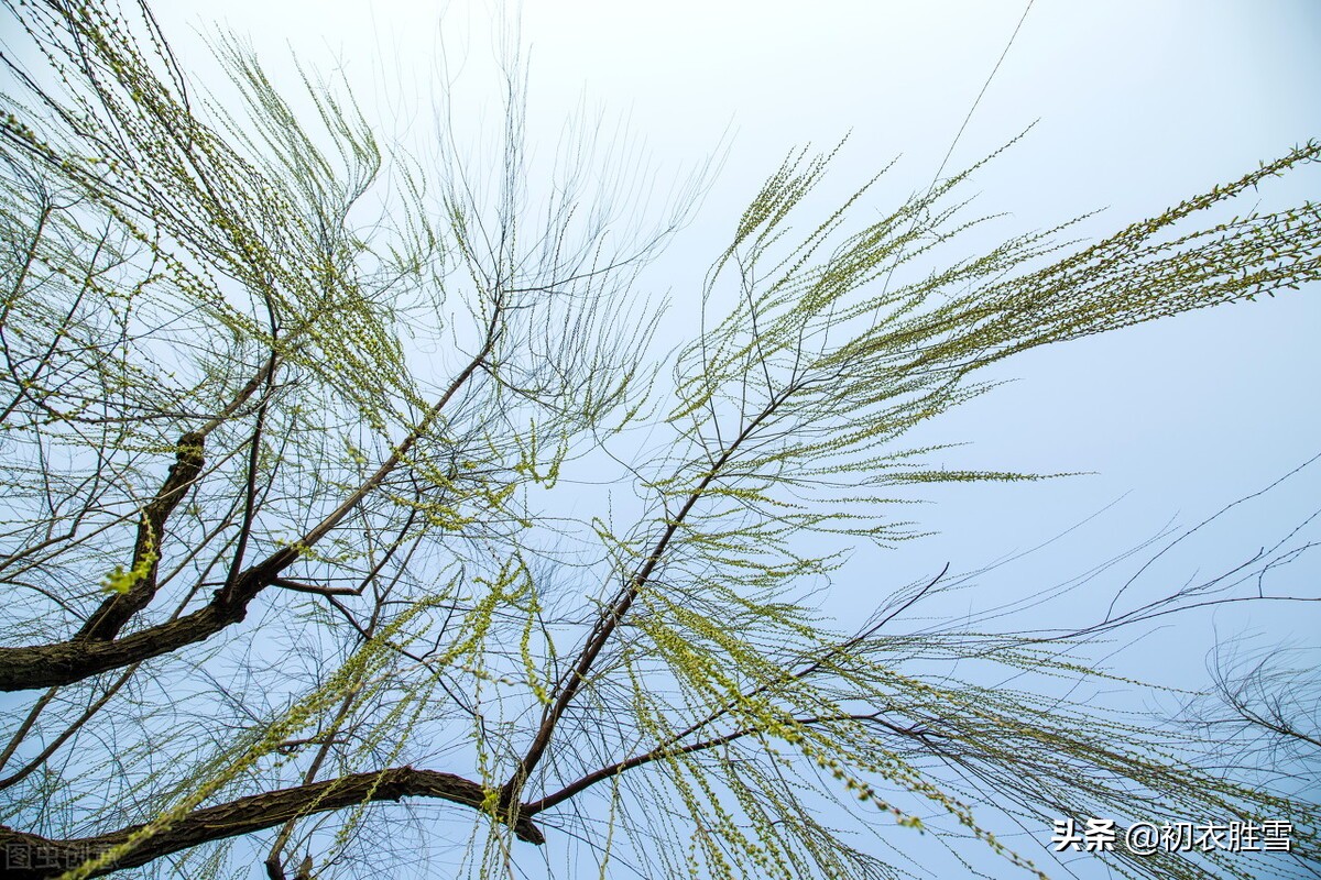 描写早春的古诗绝句,关于早春的古诗五言绝句