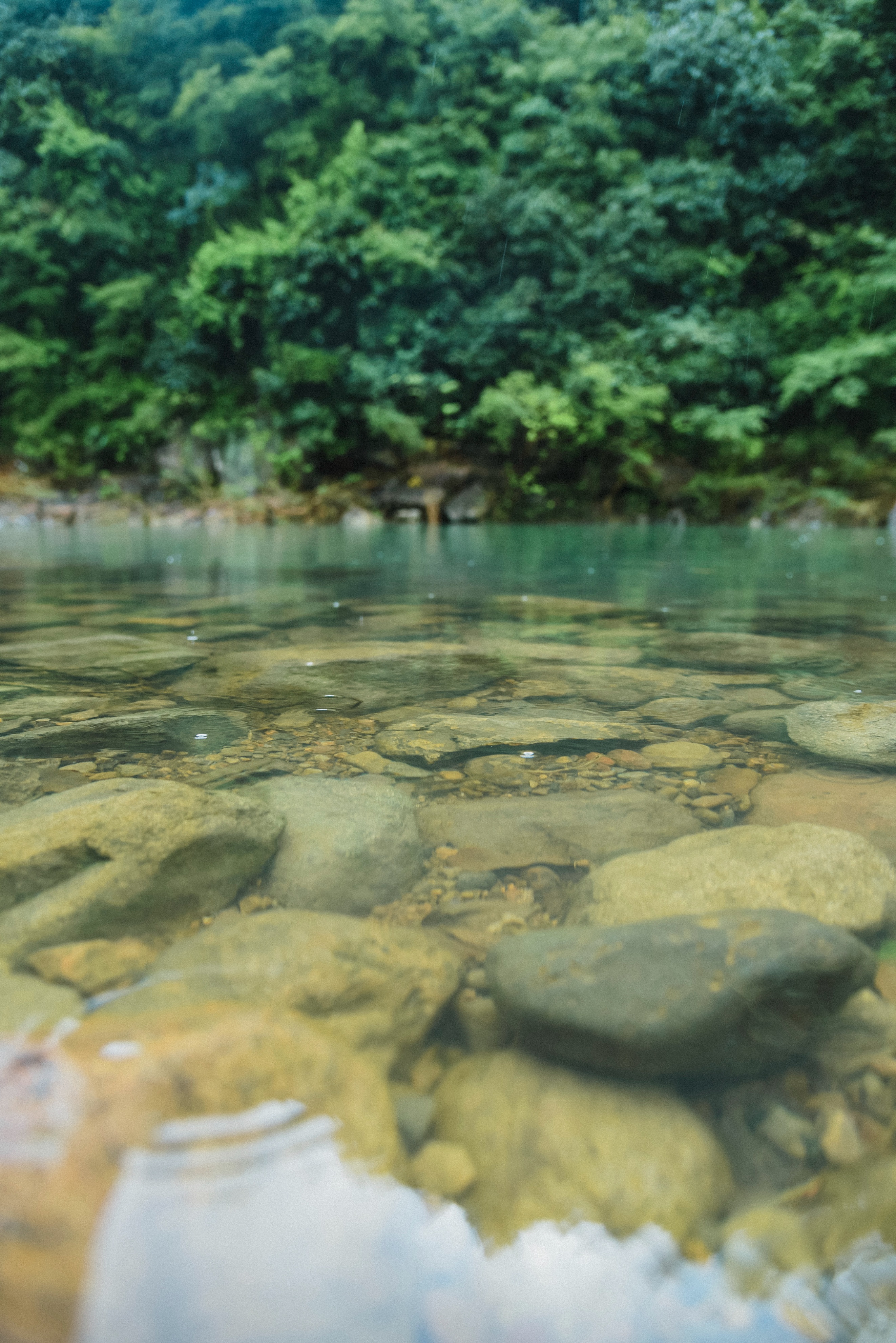 宁波四明山游记,宁波四明山这两年的风景