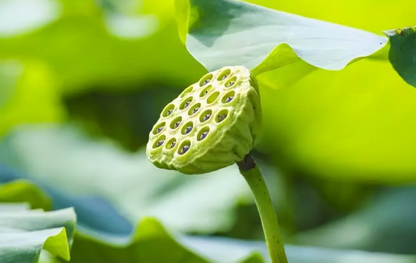 人老了才明白，关系再好，也不要让亲戚住在自己家