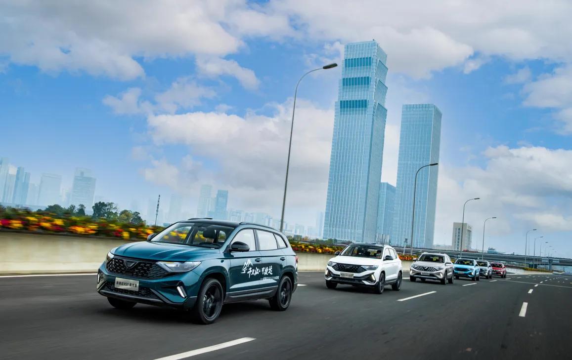 剧好听的歌在哪个平台播出,剧好听的歌