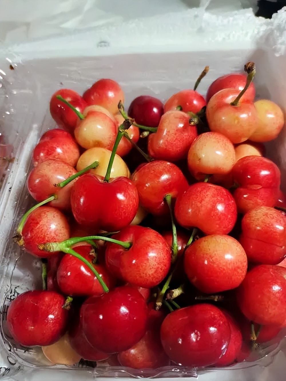 山东大樱桃最好的品种有哪些,目前山东最好的大樱桃品种