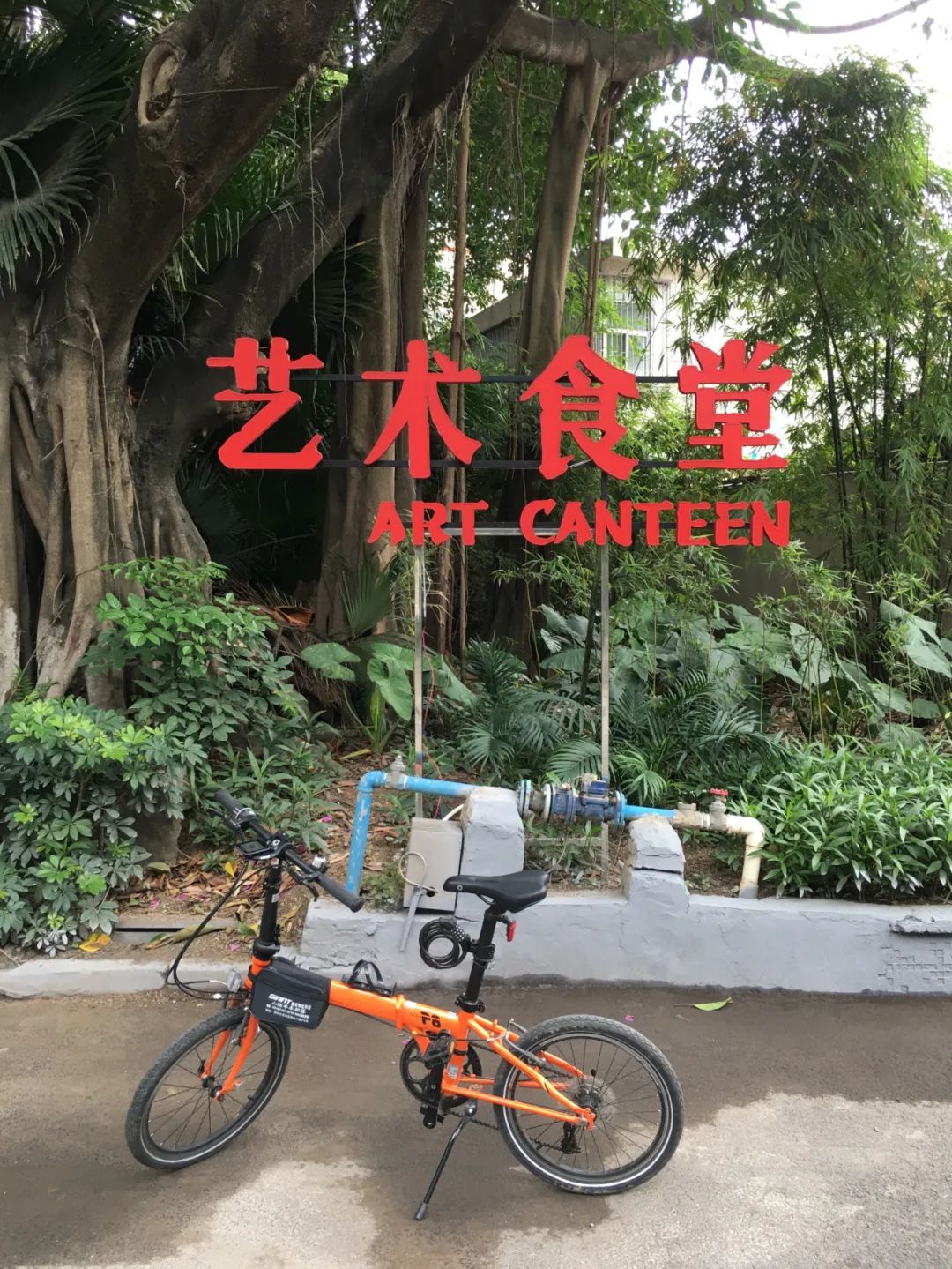 旭光电动车行,旭光车行向阳路