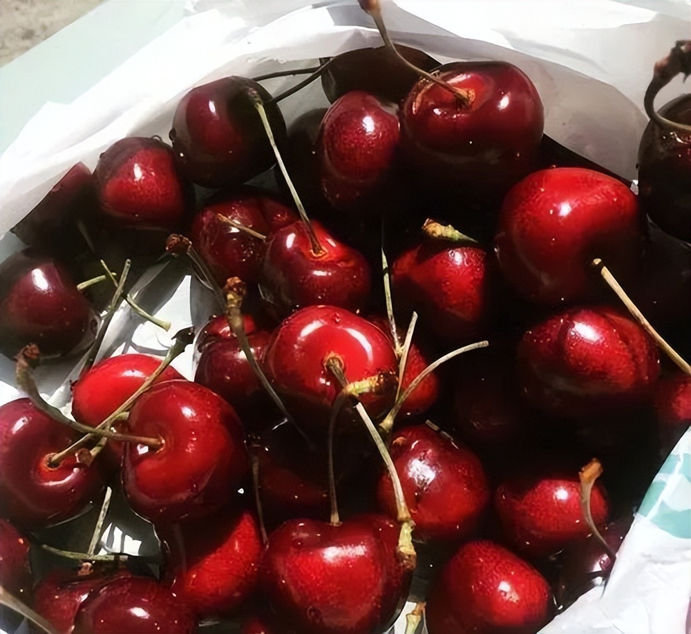 写给不被疫情束缚的心:用文字“云”游新西兰全境