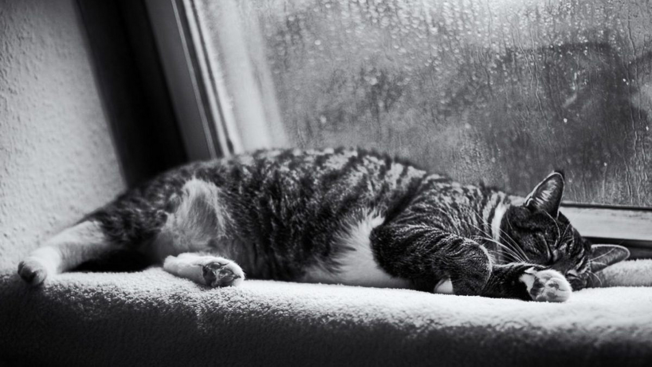 失眠的人都尝试过的助眠神器,助眠的家居用品